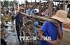 The phone visits Vietnamese families in Cambodia damaged by the fire
