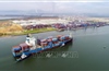 Is Vietnamese enterprise still 'lonely'?
