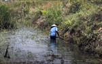 Truyền thông Đức phản ánh phương pháp nông dân Việt Nam ứng phó với biến đổi khí hậu