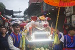 Độc đáo lễ rước lợn tế Thành hoàng làng ở La Phù 