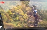 Trực thăng chở Tổng thống Iran bị thiêu rụi khi rơi, không ai sống sót