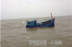Chìm tàu cá trên biển, 11 ngư dân may mắn thoát nạn