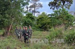 Xây dựng phương án quản lý, bảo vệ rừng bền vững trên đảo Phú Quốc