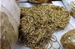 Israel: Bắt giữ đối tượng buôn lậu 1,8 kg vàng từ Dubai