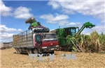 Hiệp hội Mía đường đề xuất điều chỉnh chính sách phát triển điện sinh khối