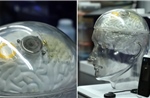 Trung Quốc đuổi sát Mỹ trong công nghệ não bộ, sánh ngang Neuralink