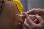 Thuốc tiêm điều trị ung thư xóa sổ hoàn toàn khối u chỉ sau vài tuần