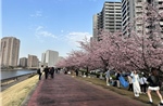 Nhật Bản 'sốt' cuộc đua giành vị trí thủ đô dự phòng cho Tokyo