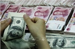 Tỷ giá hôm nay 2/10: Đồng USD và NDT đảo chiều tăng