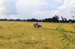 Gỡ điểm nghẽn tài chính cho các hợp tác xã nông nghiệp
