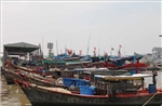 Trà Vinh: Nhiều giải pháp chống khai thác hải sản bất hợp pháp
