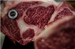 Trung Quốc cho phép nhập khẩu thịt bò từ Nga