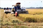 Gỡ ‘điểm nghẽn’ Nghị quyết 57 - Bài 3: Phát triển khoa học công nghệ vào đời sống