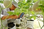 Mở rộng dư địa hợp tác nông nghiệp công nghệ cao Việt Nam - Thái Lan