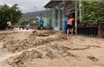 Bố trí định cư, di dời khẩn cấp 64 hộ dân vùng sạt lở núi ở Bình Định