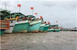Khắc phục 'thẻ vàng' IUU: Cà Mau kiểm soát hoạt động tàu cá xuất, nhập bến