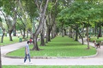 TP Hồ Chí Minh: Xây dựng tối thiểu 10 ha công viên công cộng trong năm 2022