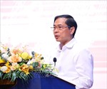 Quán triệt sâu rộng chủ trương, chính sách của Đảng và Nhà nước về công tác người Việt Nam ở nước ngoài