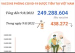 Hơn 249,28 triệu liều vaccine phòng COVID-19 đã được tiêm tại Việt Nam