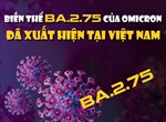 Biến thể BA.2.75 của Omicron đã xuất hiện tại Việt Nam