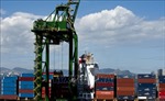 Thặng dư thương mại của Brazil giảm mạnh do nhập khẩu gia tăng