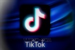 Nga phạt các hãng công nghệ Twitch và TikTok 