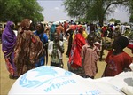 UNHCR kêu gọi huy động 556 triệu USD giúp người tị nạn ở Sudan
