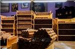 Cuba giành lợi thế trong cuộc chiến bảo vệ thương hiệu xì gà Cohiba