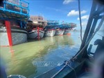 Ngư dân Quảng Nam cam kết thực hiện các quy định để gỡ bỏ thẻ vàng IUU