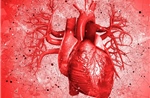 Bệnh tim mạch khiến 10.000 người châu Âu tử vong mỗi ngày