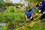 Tuổi trẻ Thành phố Hồ Chí Minh bảo vệ môi trường, lan tỏa lối sống xanh
