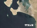 Công ty Dầu mỏ Kuwait kích hoạt &#39;tình trạng khẩn cấp&#39; sau sự cố tràn dầu