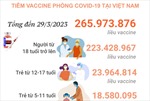 Tình hình tiêm vaccine phòng COVID-19 tại Việt Nam tính đến hết ngày 29/3/2023