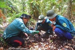 Bảo vệ rừng an toàn trong cao điểm khô hạn