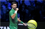 Tay vợt số một thế giới N. Djokovic rút khỏi giải Madrid Masters vì chấn thương