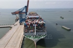 Cảng Cái Mép được tiếp nhận siêu tàu container