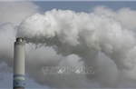 IMF kêu gọi định giá carbon để hỗ trợ chuyển đổi năng lượng