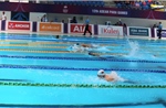 ASEAN Para Games 12: Bơi và Điền kinh giúp đoàn Việt Nam tăng tốc
