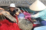 Giá tôm tại Bà Rịa - Vũng Tàu giảm mạnh, sức tiêu thụ chậm