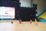 Lần đầu tổ chức Giải bóng đá U9 tỉnh Bà Rịa-Vũng Tàu mở rộng 2023