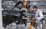 Sự cố mạng làm tê liệt hoạt động sản xuất tại 5 nhà máy của Volkswagen  