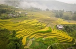 Du lịch thúc đẩy phát triển kinh tế - xã hội vùng đồng bào dân tộc thiểu số 