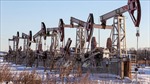 Tổng thống Nga yêu cầu nhanh chóng hạ nhiệt giá xăng dầu