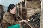 Nhân nuôi cầy vòi hương mang lại hiệu quả kinh tế cao