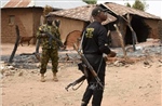 Loạt vụ đánh bom liều chết ở Nigeria: Số người thiệt mạng tiếp tục tăng