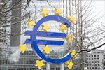 Đồng euro tăng vọt sau vòng 1 bầu cử Quốc hội tại Pháp