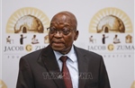 Cựu Tổng thống Nam Phi Jacob Zuma bị cấm tham gia tranh cử