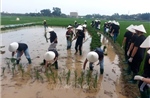 Gìn giữ bản sắc văn hoá trong xây dựng nông thôn mới