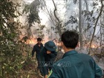 Tây Ninh: Nỗ lực chữa cháy rừng tại Vườn quốc gia Lò Gò - Xa Mát