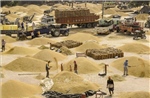 Ấn Độ có thể xem xét dỡ bỏ hạn chế xuất khẩu gạo
